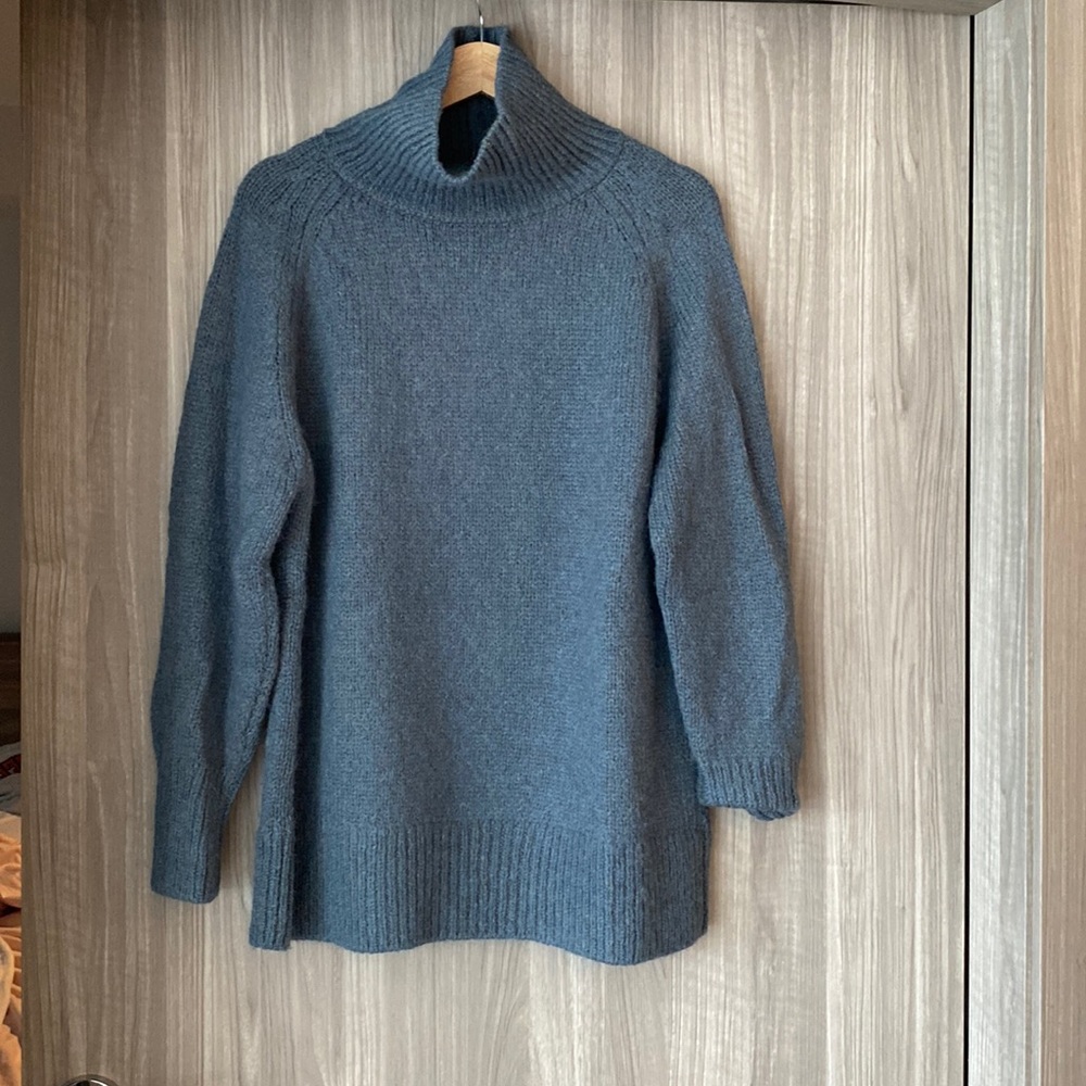 Babaton (Aritzia) turtleneck sweater